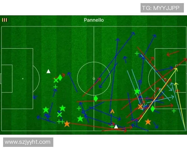 武汉排球队技术表现分析与联赛表现的深度点评