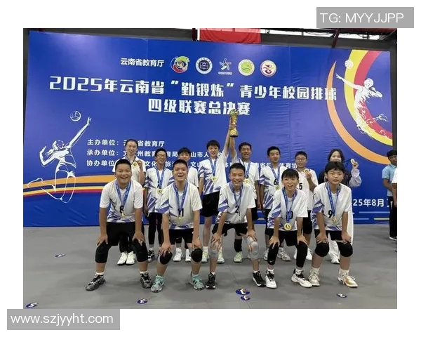 深圳排球队逆袭之路：城市联赛中的拼搏与荣耀